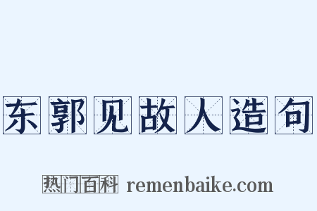 东郭见故人造句是什么意思的图片